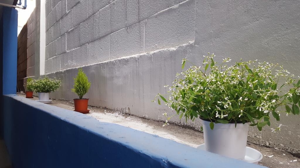 Seoul Forest Guesthouse Seul Exterior foto