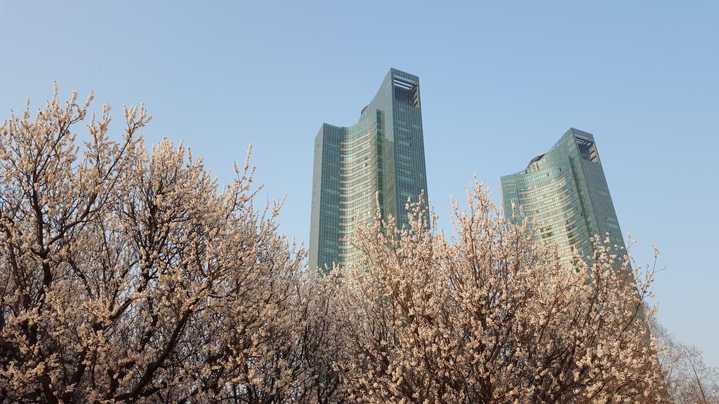 Seoul Forest Guesthouse Seul Exterior foto